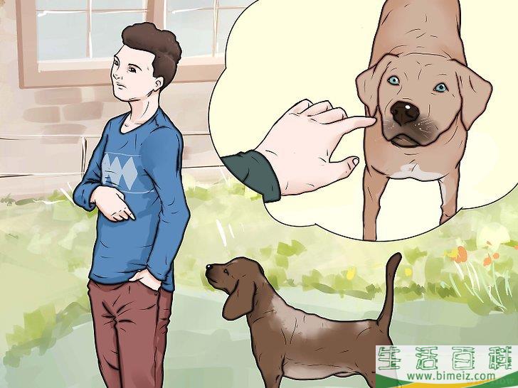 怎么惩罚狗狗