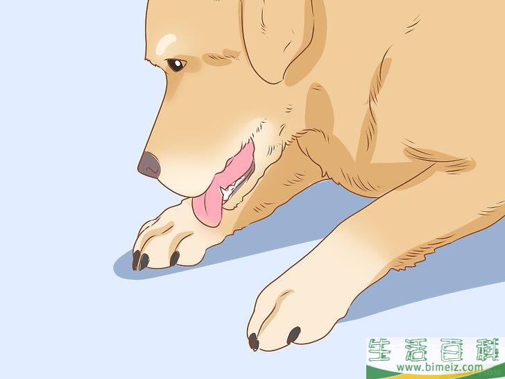 怎么判断狗狗是否得了忧郁症