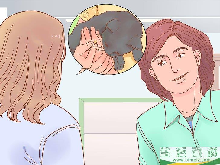 怎么挑选猫咪