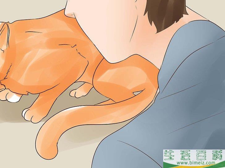 怎么知道你的猫是不是要死了