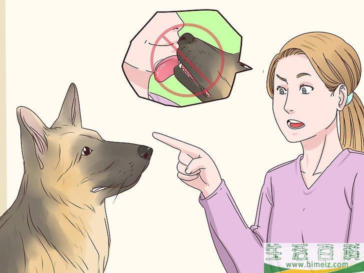 怎么让狗不再舔人