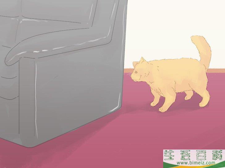 怎么防止猫咪在地毯上撒尿