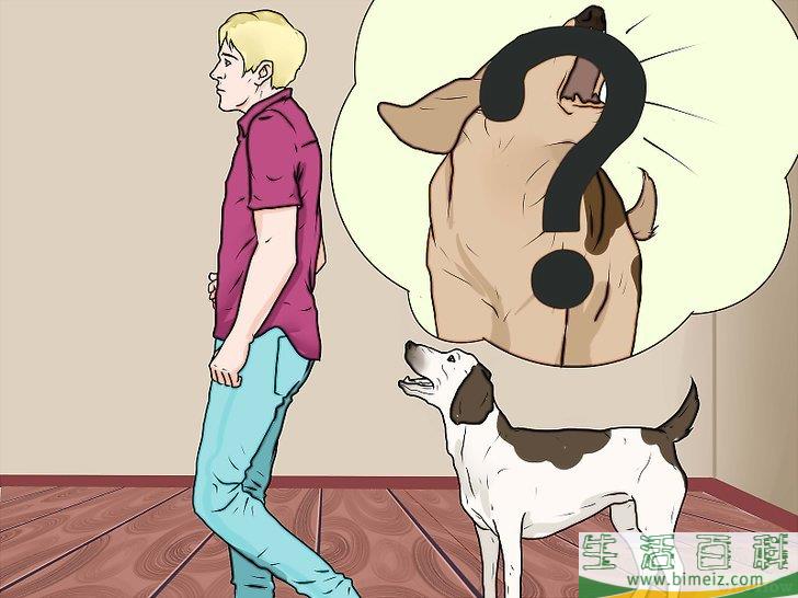 怎么惩罚狗狗