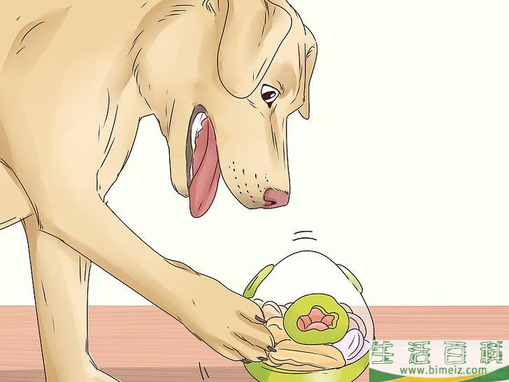怎么让狗不再舔人