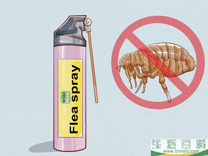 怎么判断狗是否感染了跳蚤