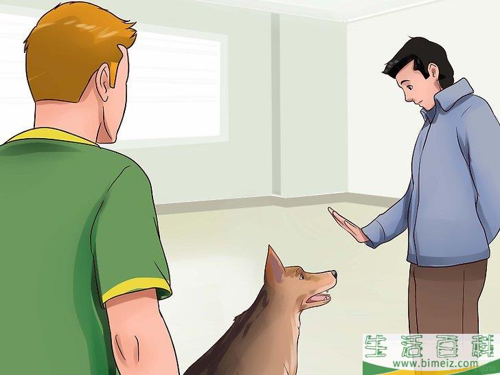 怎么让狗不再追赶猫咪