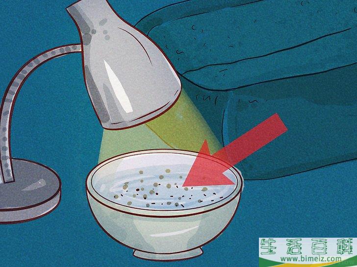 怎么判断狗是否感染了跳蚤