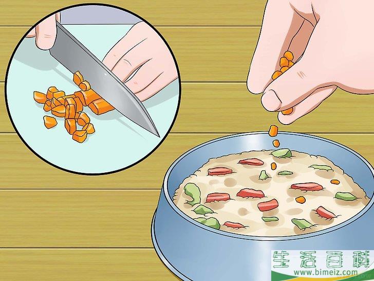 怎么自制猫食