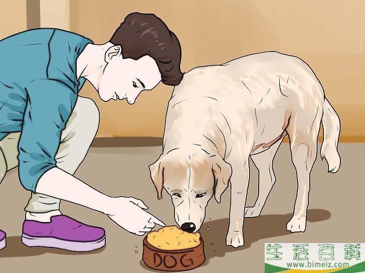 怎么惩罚狗狗