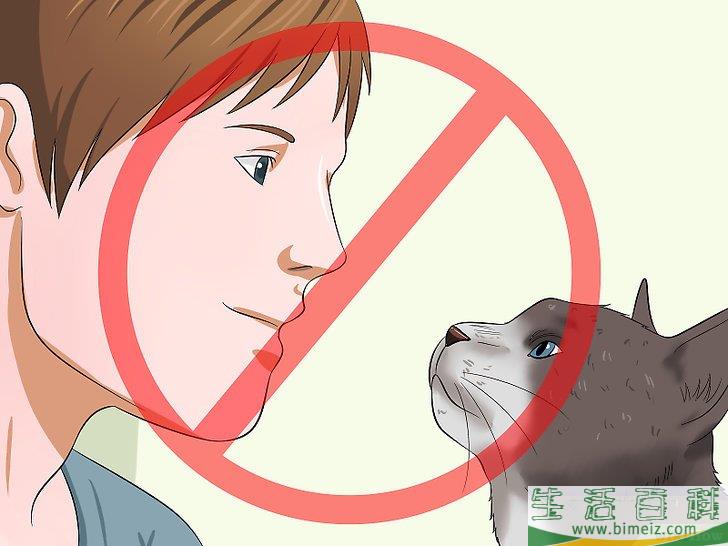 怎么让你的猫爱你