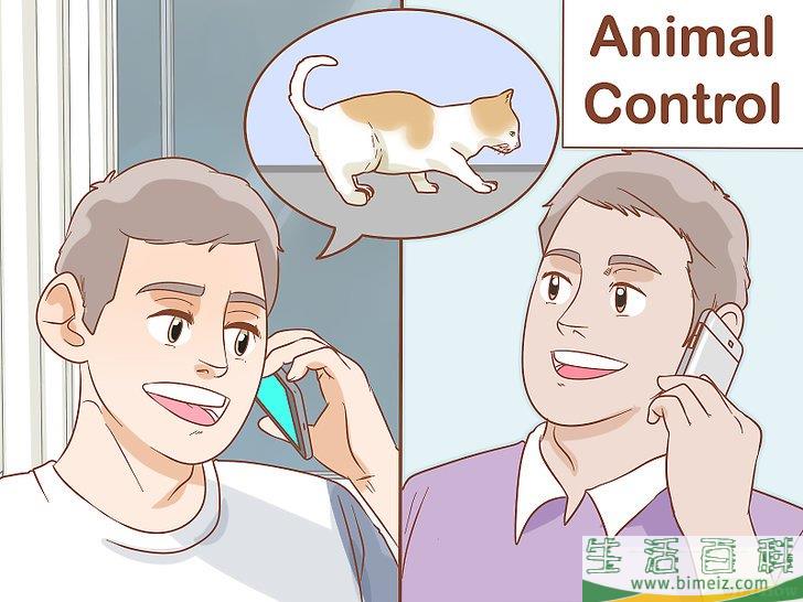 怎么避免野猫肆虐