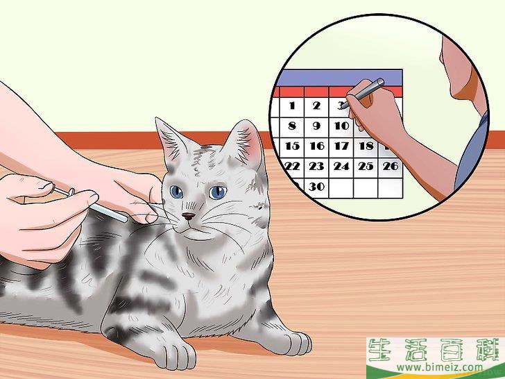 怎么判断猫是否得了狂犬病