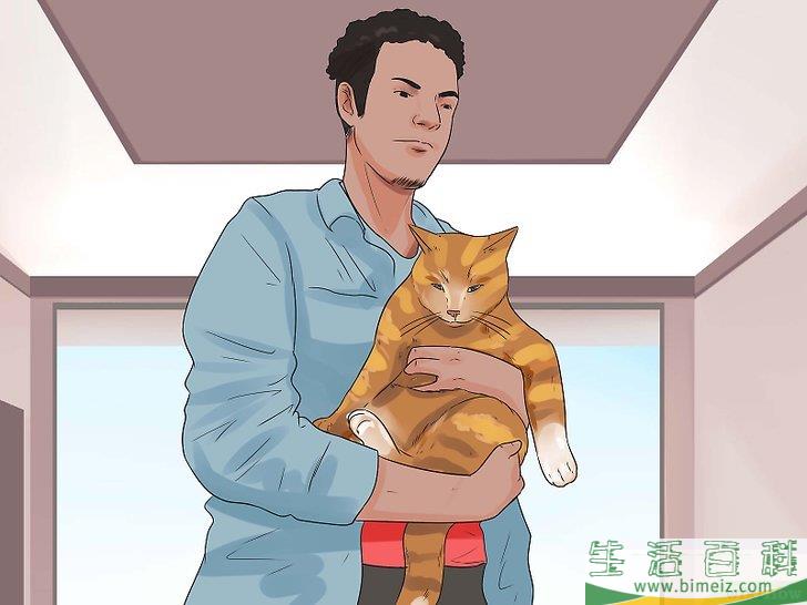 怎么让猫咪不再发出嘶嘶声