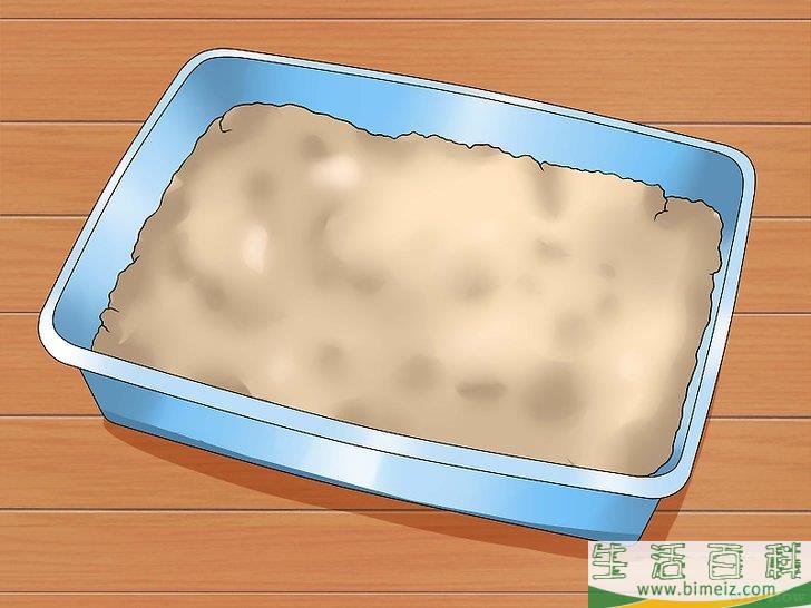 怎么训练幼猫