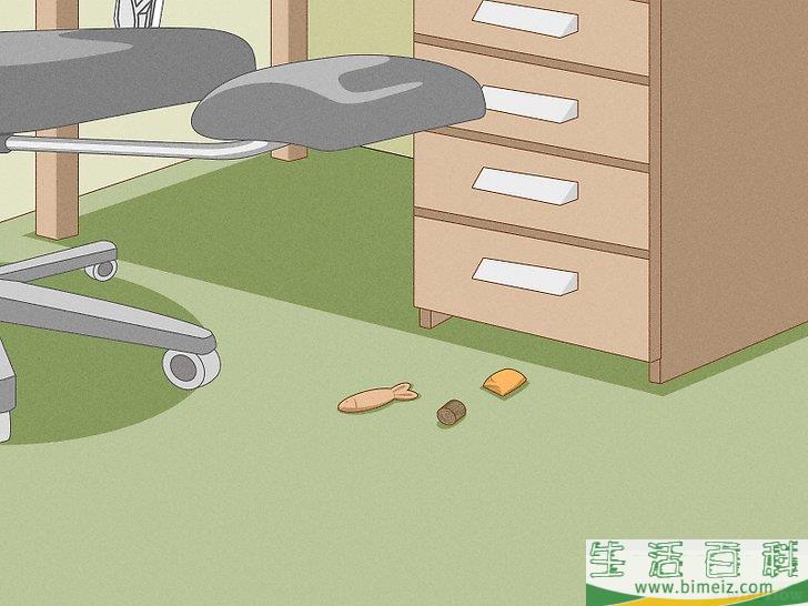 怎么向猫咪道歉