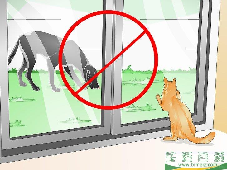 怎么防止猫咪乱撒尿