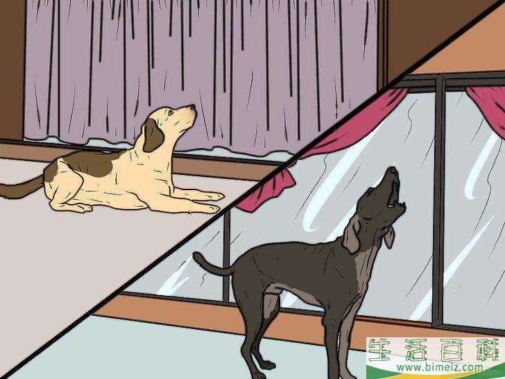 怎么惩罚狗狗