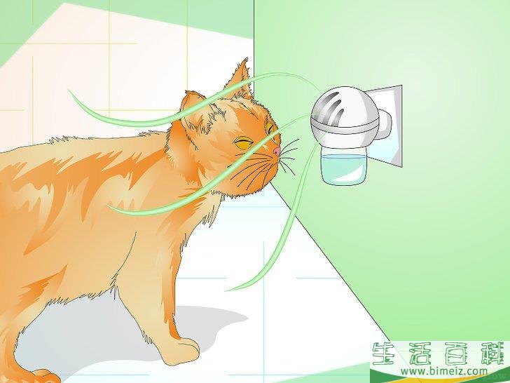 怎么防止猫咪乱撒尿