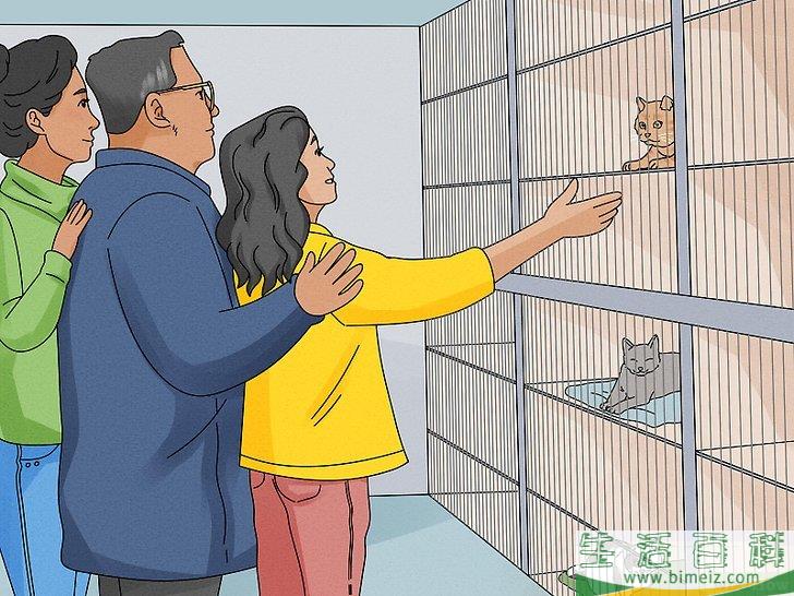 怎么说服父母让你养猫（适合青少年）