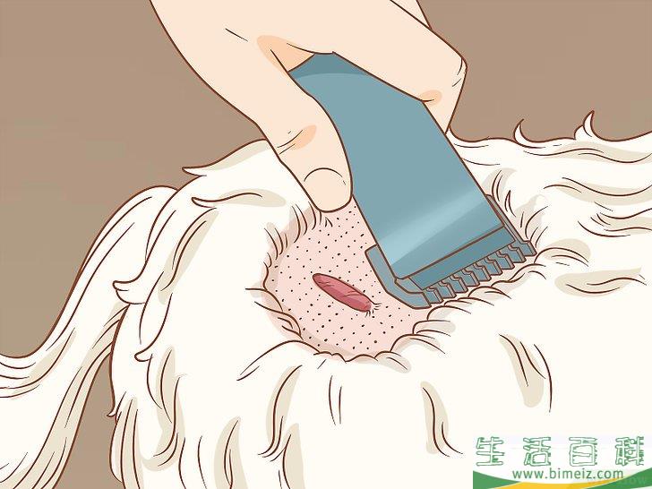 怎么在家里去除狗身上的皮赘