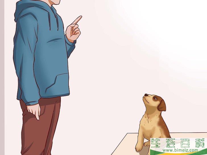 怎么安抚爱犬