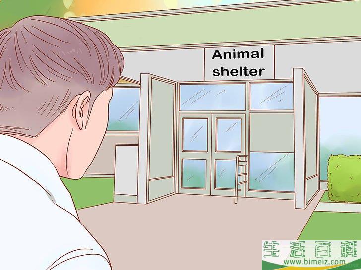 怎么挑选猫咪