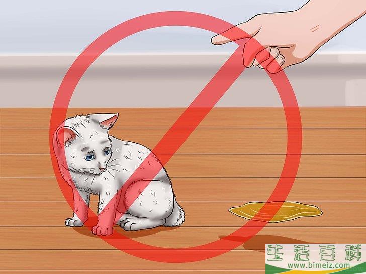 怎么训练幼猫
