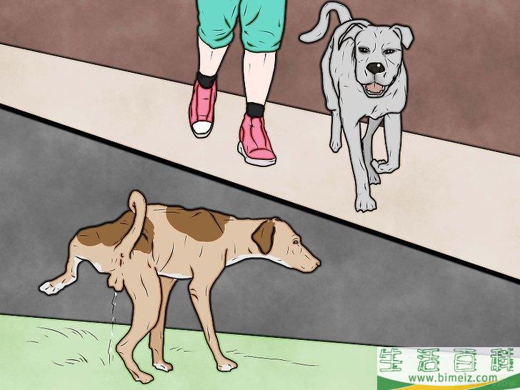 怎么惩罚狗狗