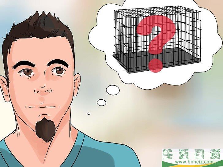 怎么训练狗狗在屋外上厕所
