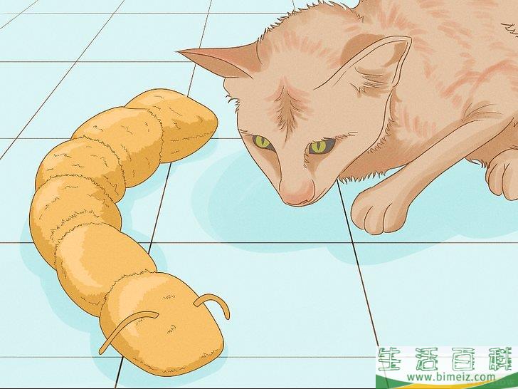 怎么向猫咪道歉