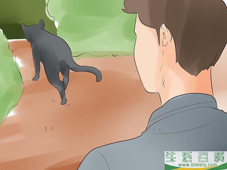 怎么知道你的猫是不是要死了
