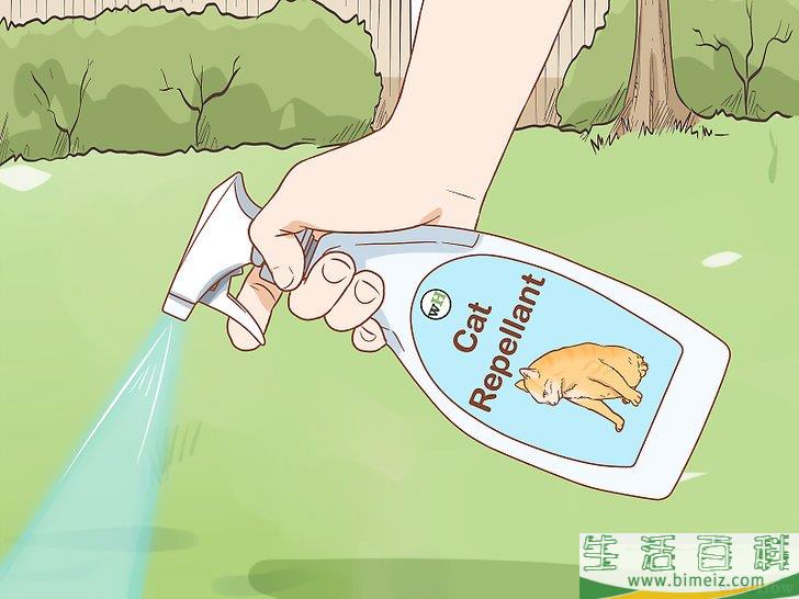怎么避免野猫肆虐