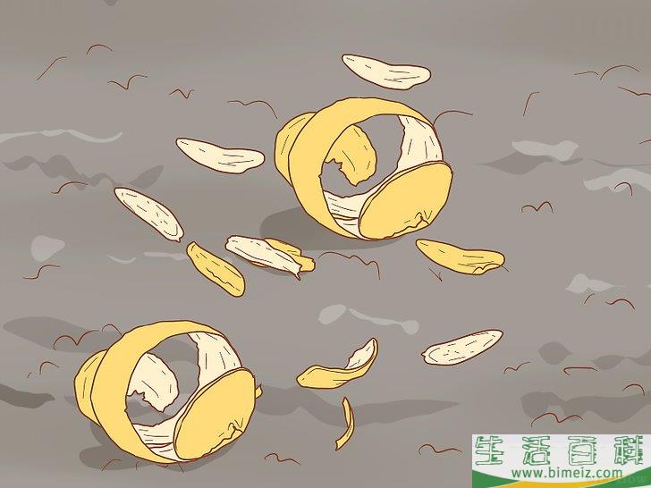 怎么避免野猫肆虐