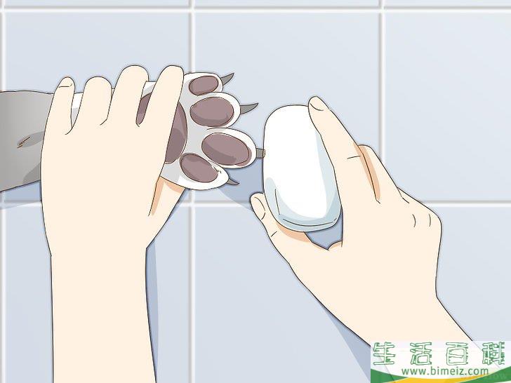 怎么给狗狗的趾甲床止血