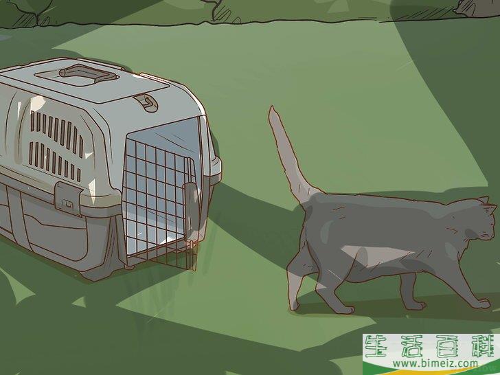 怎么避免野猫肆虐
