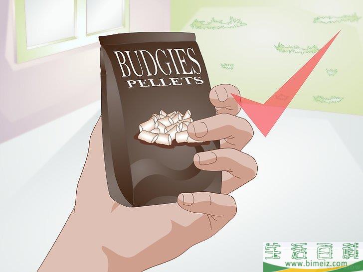 怎么喂养虎皮鹦鹉