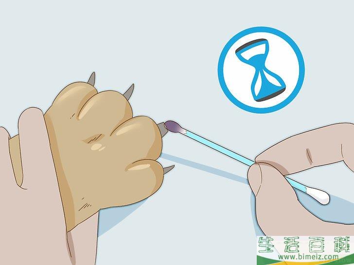 怎么给狗狗的趾甲床止血