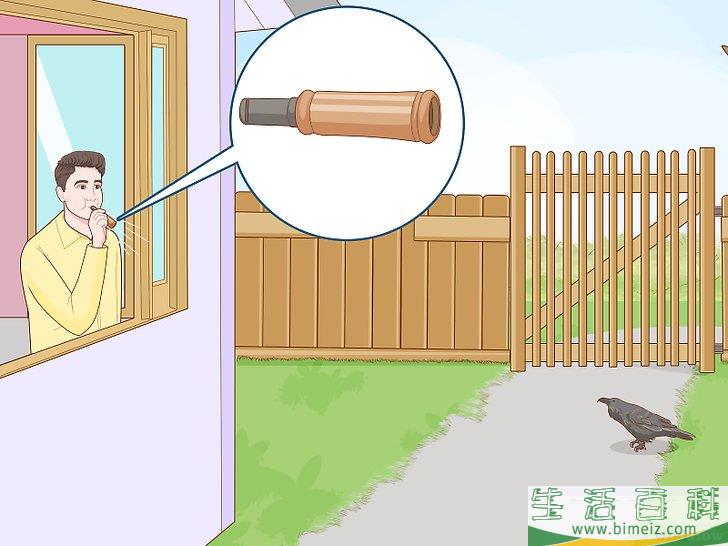怎么招来乌鸦