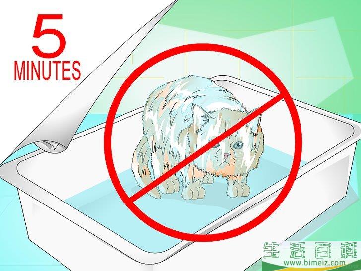 怎么给猫崽洗澡