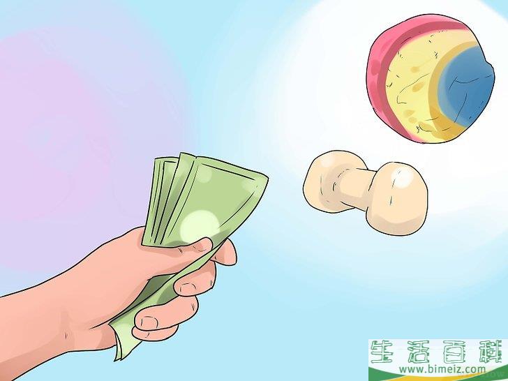 怎么让猫咪不再发出嘶嘶声