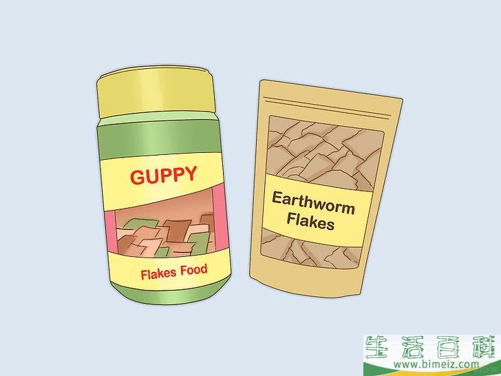 怎么照料孔雀鱼