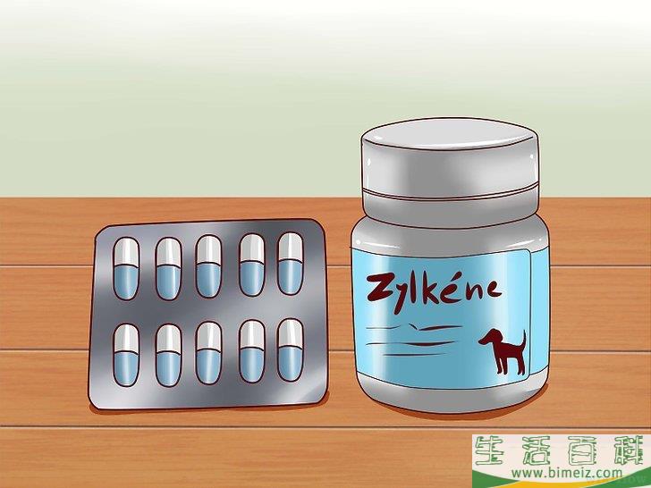 怎么安抚爱犬