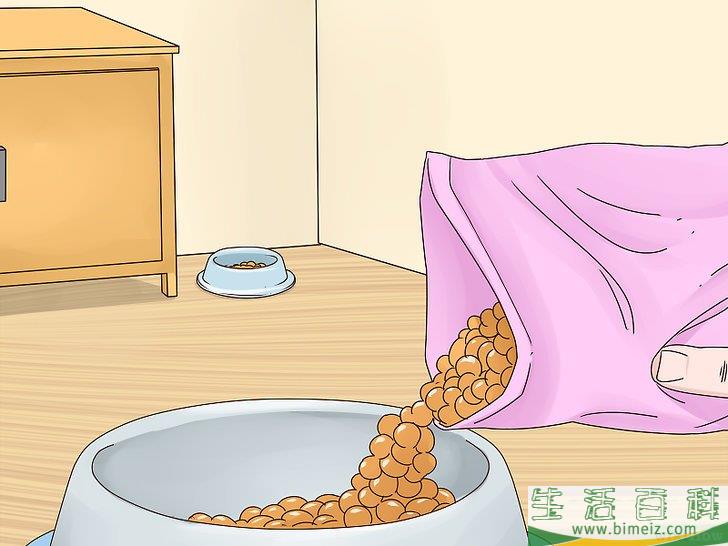 怎么让爱犬减慢进食速度