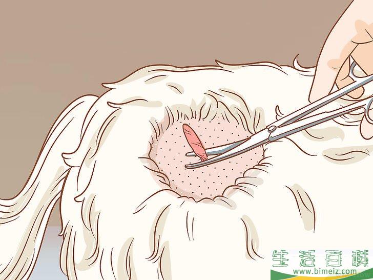 怎么在家里去除狗身上的皮赘