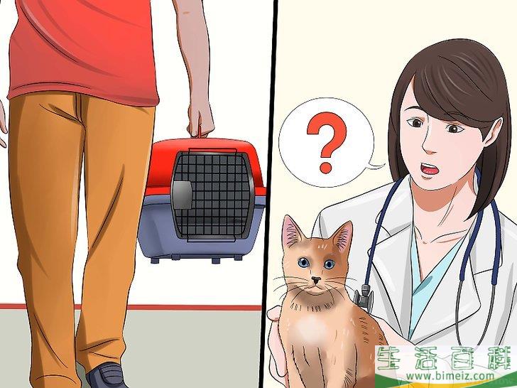 怎么判断猫是否得了狂犬病