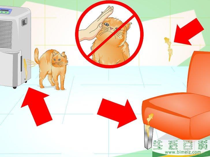 怎么防止猫咪乱撒尿
