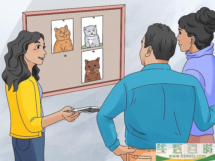 怎么说服父母让你养猫（适合青少年）