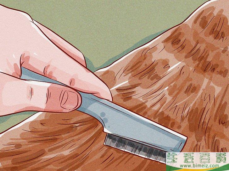 怎么判断狗是否感染了跳蚤