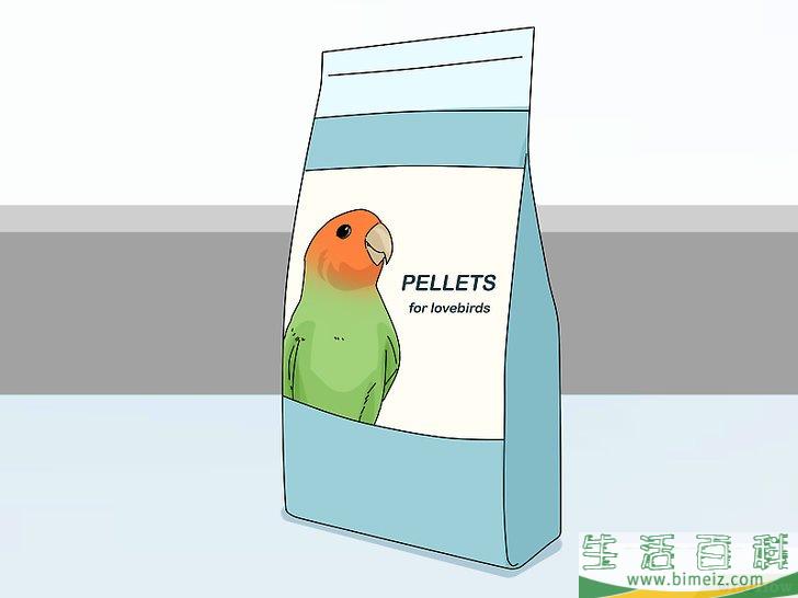 怎么喂养牡丹鹦鹉