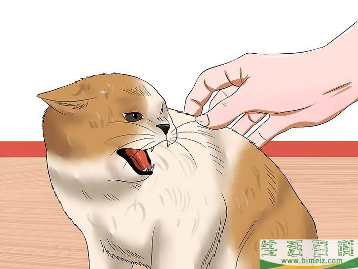 怎么判断猫是否得了狂犬病